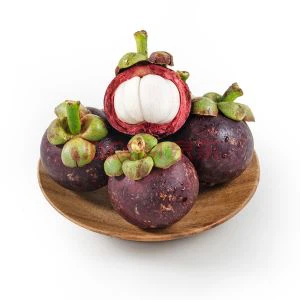 Mangostin mangostenasining mantostin kukuni ekstrakti Mangostin kanseri Mangostin choyi