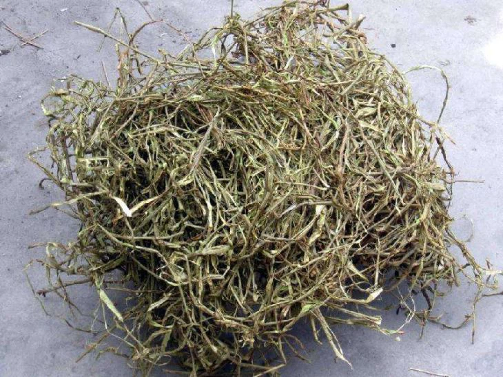 White Willow Extract