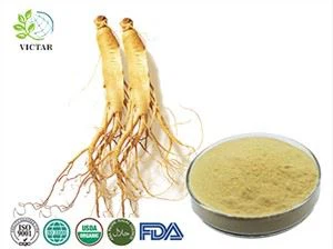 pannax Ginseng ekstrakti