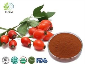 Rosehip ekstrakti