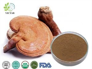 reishi ekstrakti