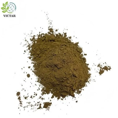 Oregano kukuni